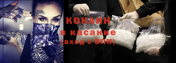 сатива Волоколамск