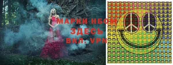 сатива Волоколамск