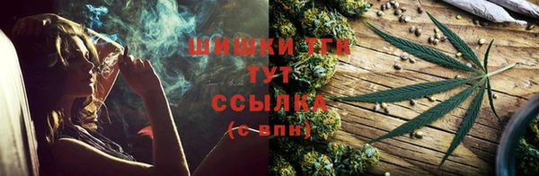 сатива Волоколамск