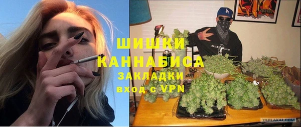 сатива Волоколамск
