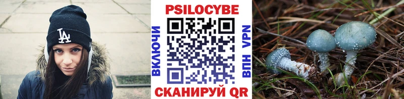 Галлюциногенные грибы MAGIC MUSHROOMS  Елец 