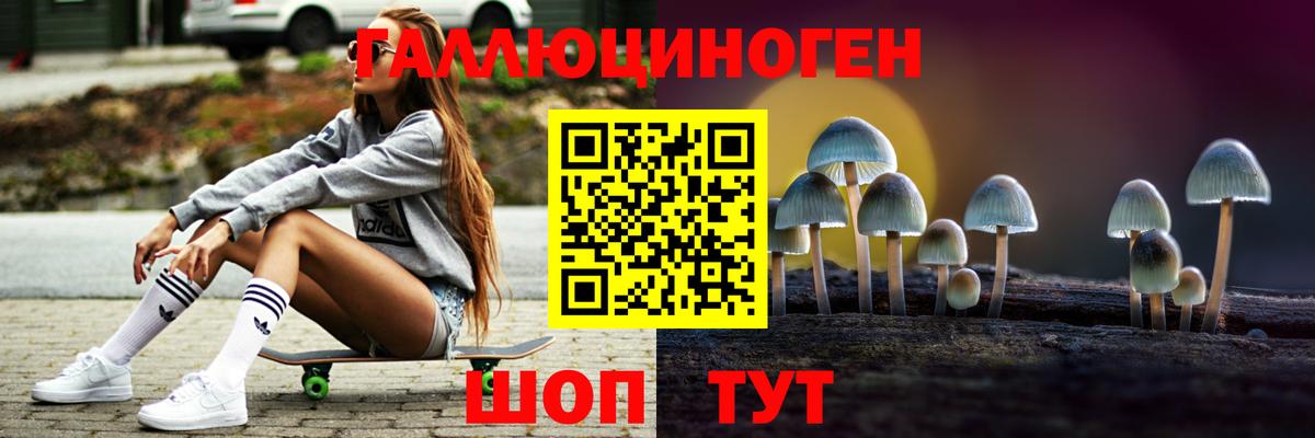 Псилоцибиновые грибы Magic Shrooms  Вход с VPN  Псилоцибиновые грибы Magic Shrooms  Елец 