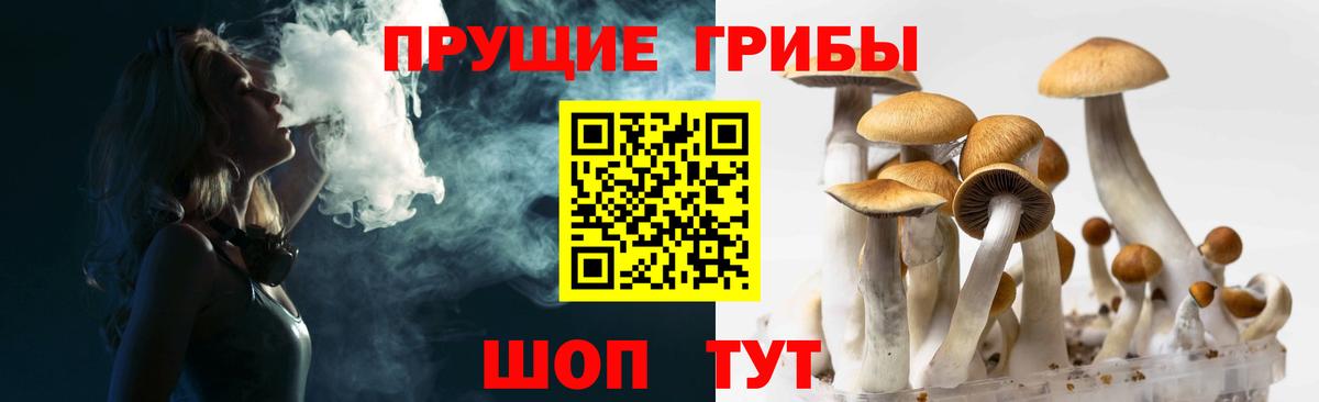 Галлюциногенные грибы Cubensis Елец